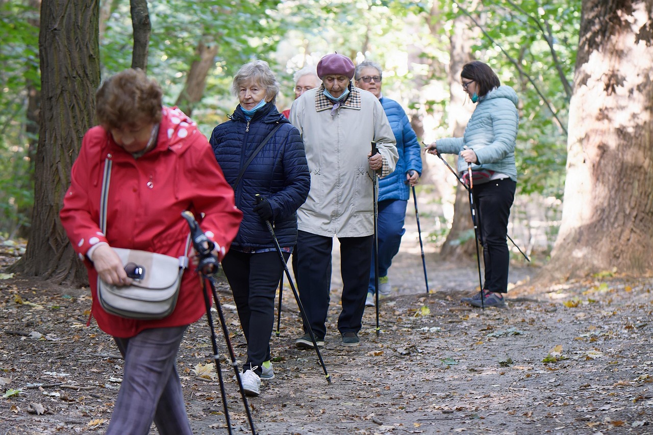 Chemin dans la nature, sérénité de la retraite
